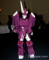 Botcon 2013